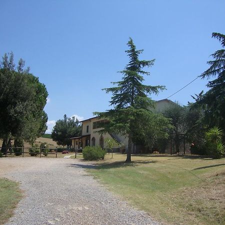 Agriturismo Podere Selvette Campagnatico Kültér fotó