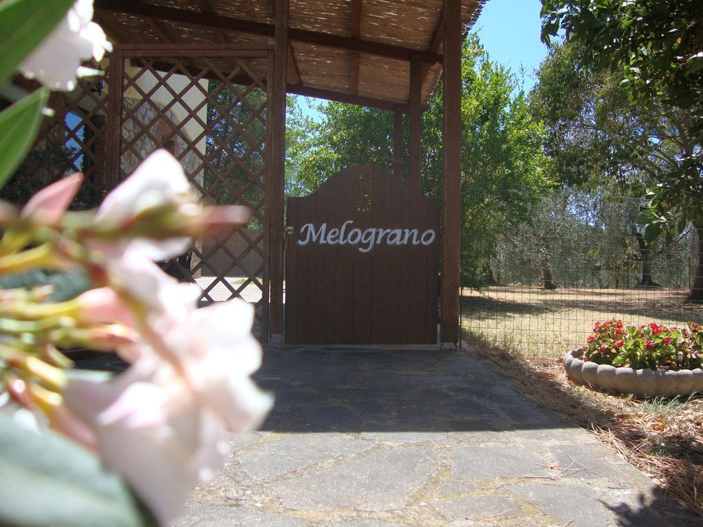 Agriturismo Podere Selvette Campagnatico Kültér fotó