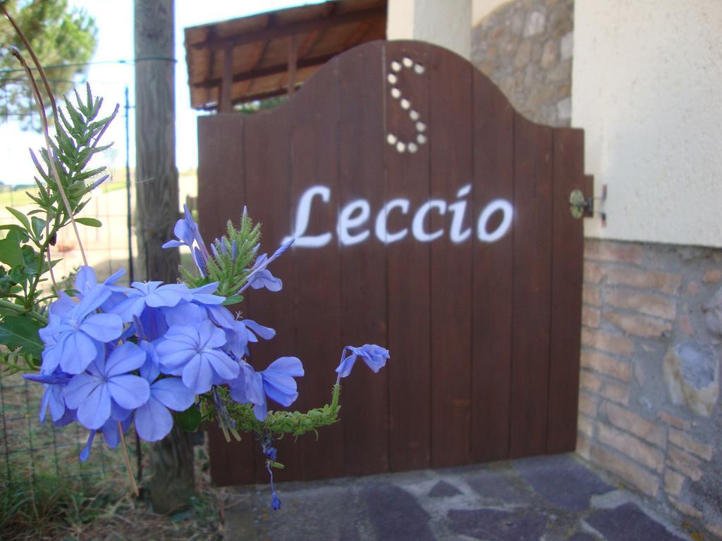 Agriturismo Podere Selvette Campagnatico Kültér fotó