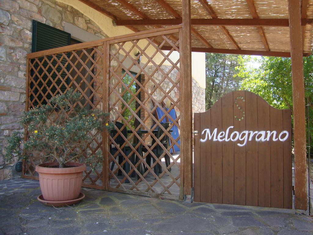Agriturismo Podere Selvette Campagnatico Kültér fotó