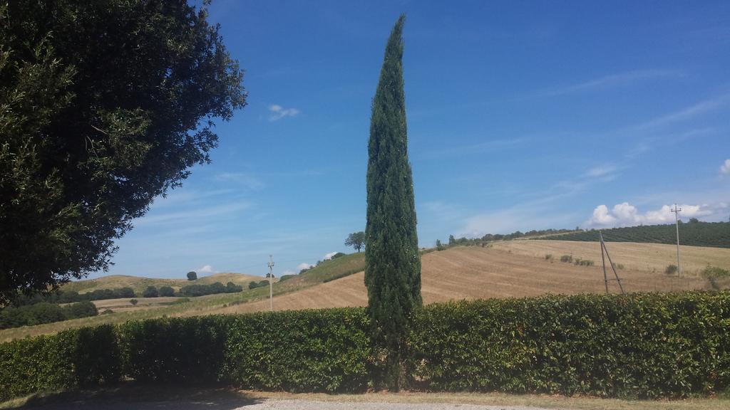 Agriturismo Podere Selvette Campagnatico Kültér fotó