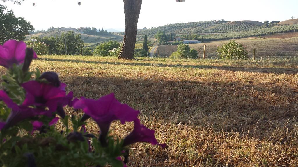 Agriturismo Podere Selvette Campagnatico Kültér fotó