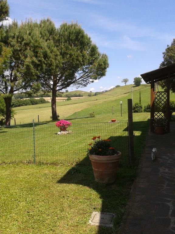 Agriturismo Podere Selvette Campagnatico Kültér fotó