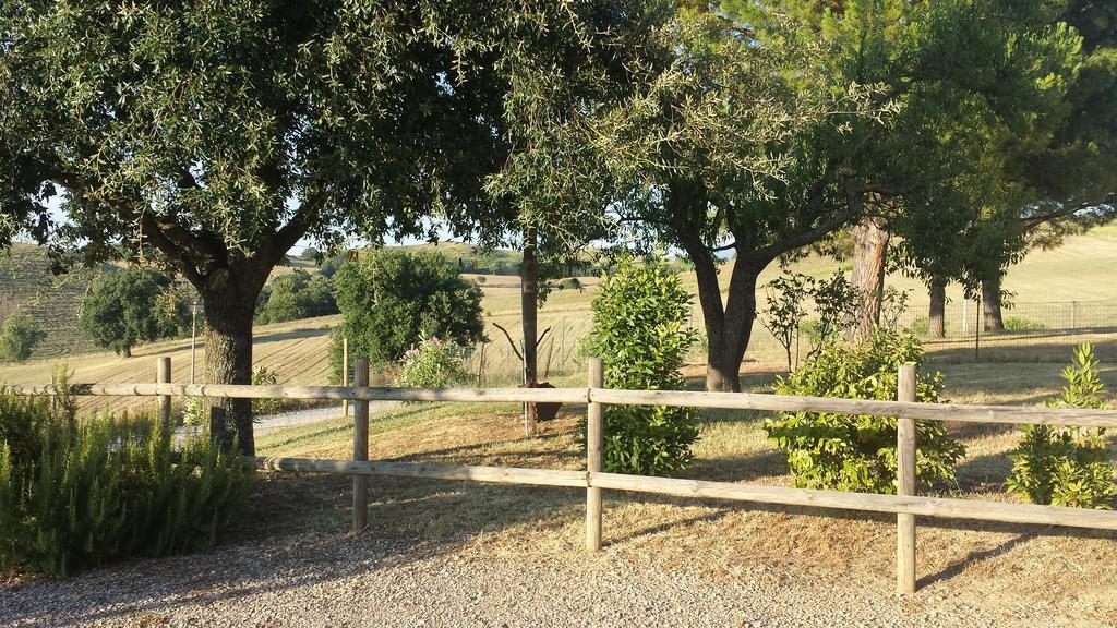 Agriturismo Podere Selvette Campagnatico Kültér fotó