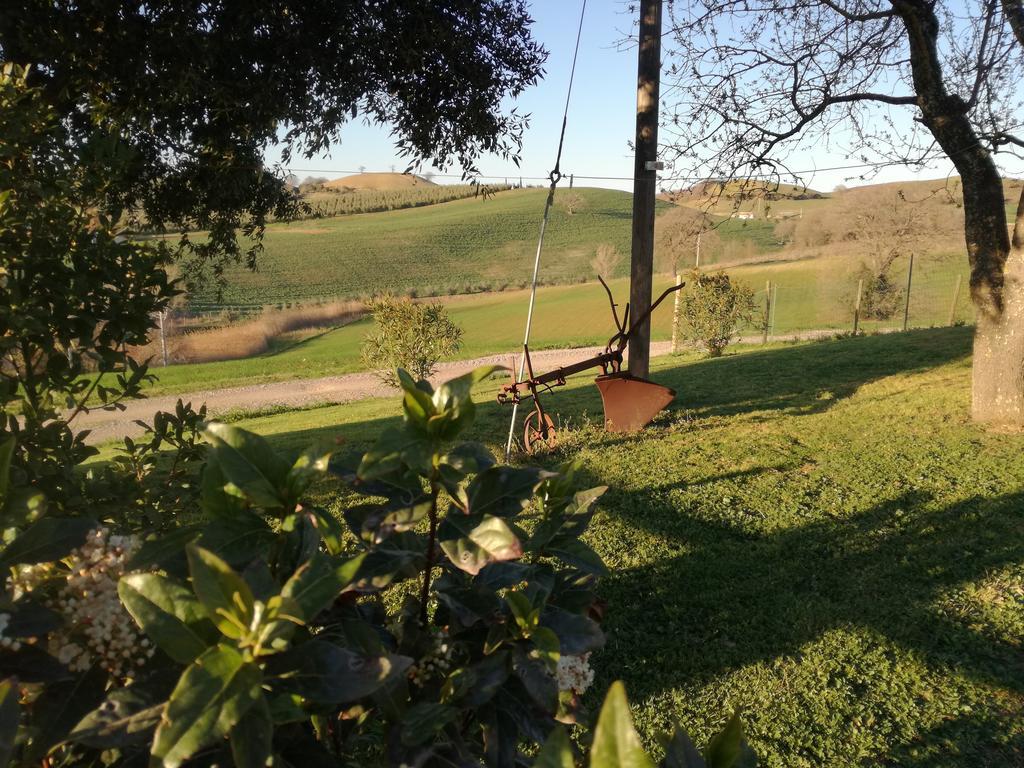 Agriturismo Podere Selvette Campagnatico Kültér fotó