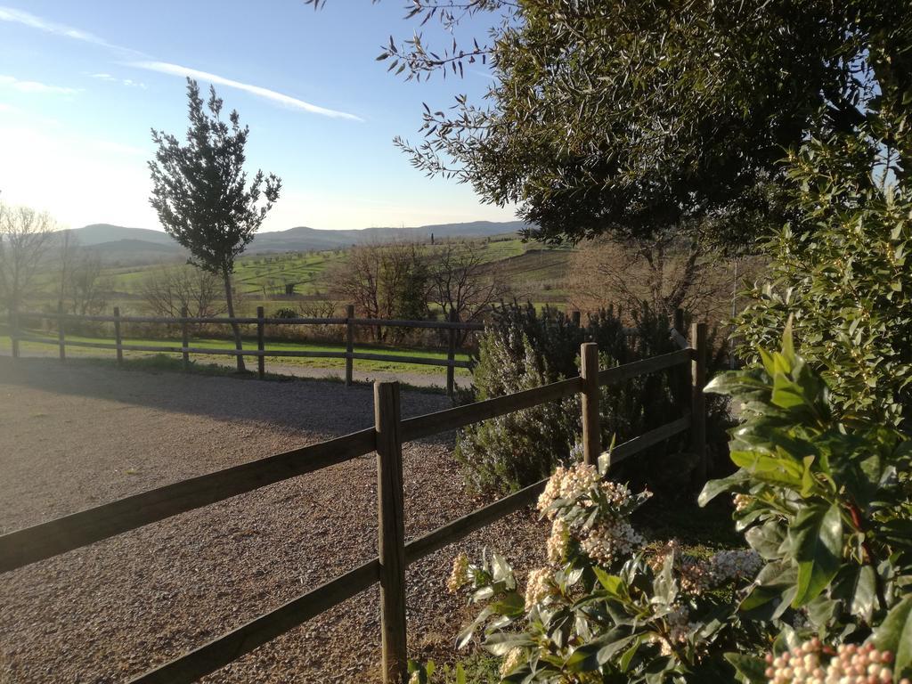 Agriturismo Podere Selvette Campagnatico Kültér fotó