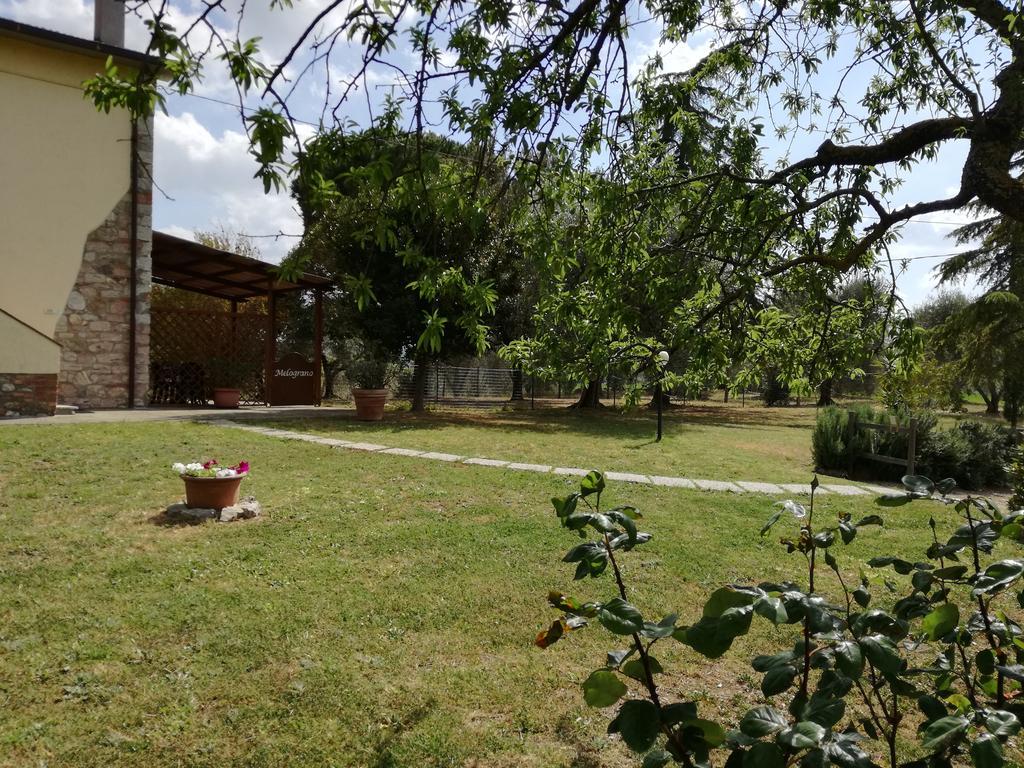 Agriturismo Podere Selvette Campagnatico Kültér fotó