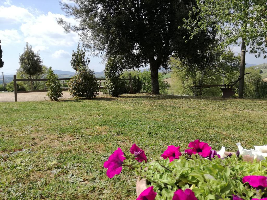 Agriturismo Podere Selvette Campagnatico Kültér fotó